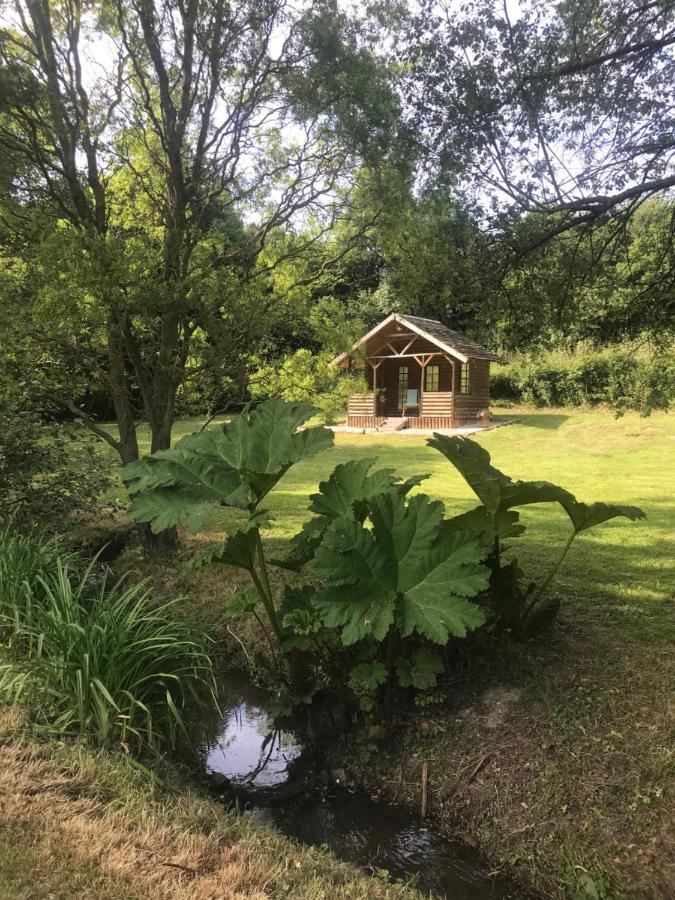 La Paix, Gite Bucolique En Normandie Condé-sur-Noireau Zewnętrze zdjęcie