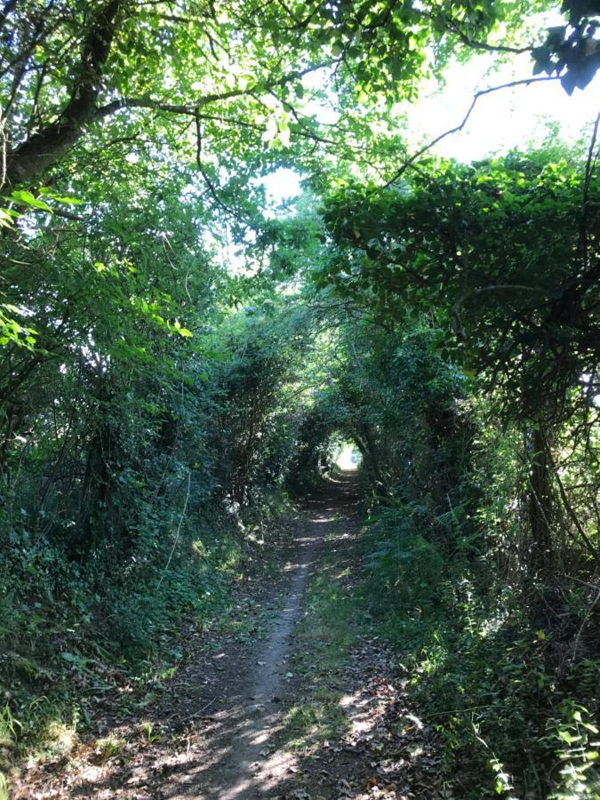 La Paix, Gite Bucolique En Normandie Condé-sur-Noireau Zewnętrze zdjęcie