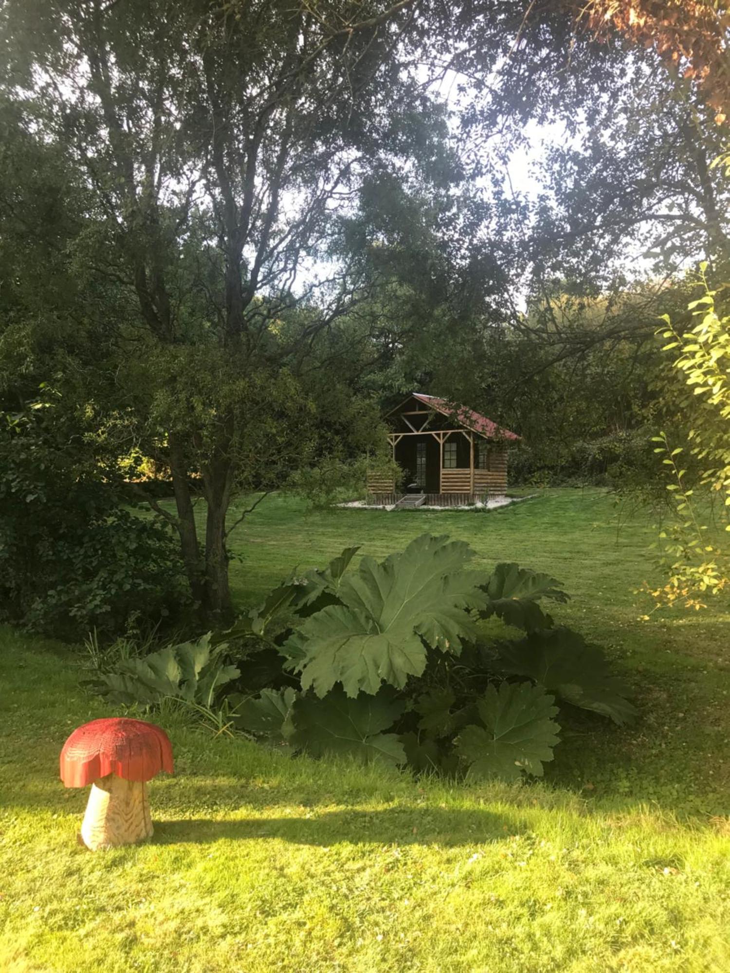 La Paix, Gite Bucolique En Normandie Condé-sur-Noireau Zewnętrze zdjęcie